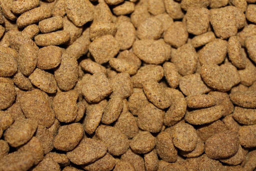 Best Dog Food For French Bulldogs - Image 2