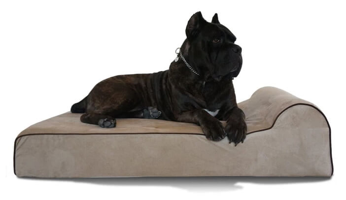 Bully Beds Original Orthopedic Dog Bed