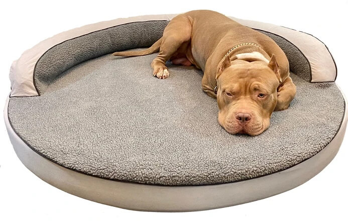 Dog laying on Bully Beds Round Sherpa Top Bolster Bed