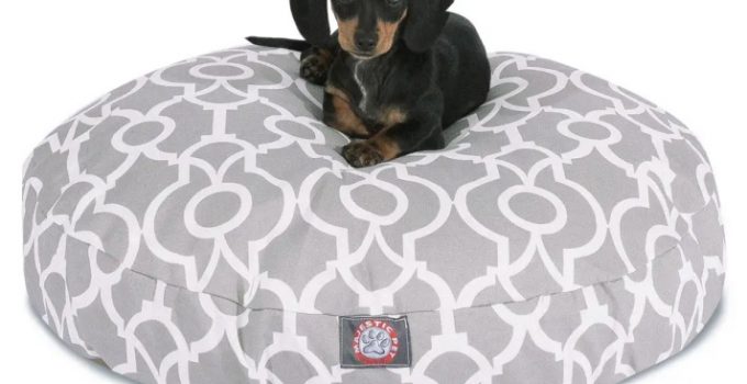 5 Best Dog Beds For Small Breeds – 2023 Reviews & Buying Guide