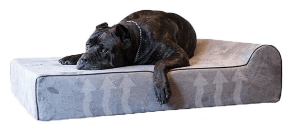 Bully Beds Infrared Dog Bed