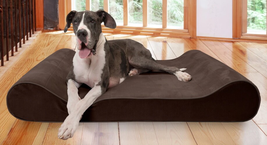 FurHaven Microvelvet Luxe Lounger Dog Bed - large dog sitting on top
