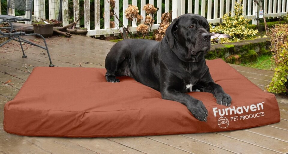 FurHaven Deluxe Indoor/Outdoor Mattress Bed with big black dog