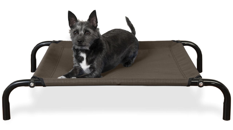 FurHaven Elevated Reinforced Cot Bed - small dog lying on top
